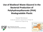 Use of Biodiesel Waste Glycerol in the Bacterial - SUNY-ESF