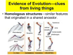 Evidence of Evolution—clues from living things