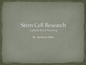 Stem Cell Research Catholic Social Teaching