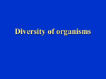 Diversity of organisms