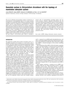 Guanylate cyclase in Dictyostelium discoideum with the topology of