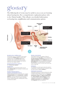 Glossary - Children`s Health Queensland