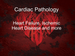 Cardiac Pathology_1 - bloodhounds Incorporated