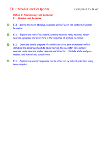 E1: Stimulus and Response