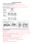 World Geography Exam Review