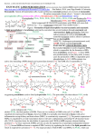 Rate of reaction depends upon concentration of compounds