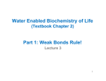 Water Enabled Biochemistry of Life Part 1: Weak Bonds Rule!