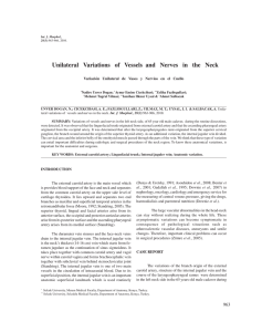 Unilateral Variations of Vessels and Nerves in the Neck