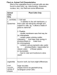 Plant vs. Animal Cell Characteristics Most of the organelles found in