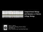 Genome variation informatics: SNP discovery, demographic