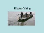 Electrofishing