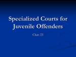 Specialized Courts for Juvenile Offenders