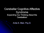 Cerebellar Affective Syndrome Expanding Our Thinking About the