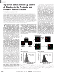 Top-Down Versus Bottom-Up Control of Attention in the Prefrontal