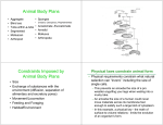 Animal Body Plans Constraints Imposed by Animal Body Plans