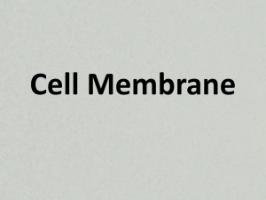 CH- 7.3 Cell Membrane
