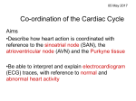 Co-ordination of the Cardiac Cycle