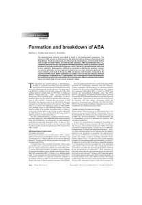 Formation and breakdown of ABA