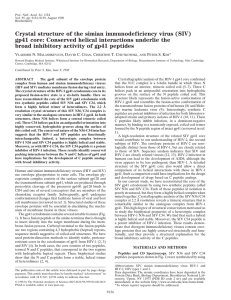 Crystal structure of the simian immunodeficiency virus (SIV) gp41