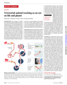 Terrestrial animal tracking as an eye on life and planet