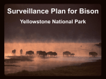 2 - Interagency Bison Management Plan