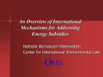 International mechanisms for addressing energy subsidies