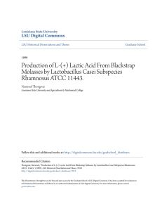 Production of L-(+) Lactic Acid From Blackstrap Molasses by