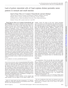 Lack of pyloric interstitial cells of Cajal explains distinct peristaltic