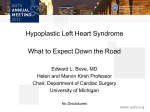 Hypoplastic Left Heart Syndrome What to Expect Down the Road