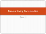 Tissues: Living Communities