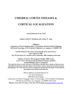 Cortical Diseases and Cortical Localization