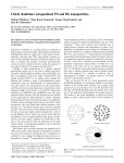 Chiral dendrimer encapsulated Pd and Rh