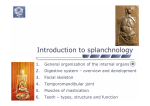 Introduction to Splanchnology