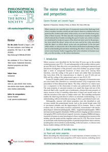 The mirror mechanism: recent findings and perspectives