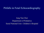 Pitfalls in Fetal Echocardiography
