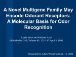 A Novel Multigene Family May Encode Odorant