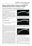 Anterior segment optical coherence tomography for identifying