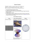 Euclid`s Postulates