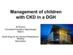 Management of children with CKD in a DGH 2