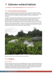 CD accompanying Saltwater Wetlands Rehabilitation Manual