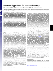 Metabolic hypothesis for human altriciality