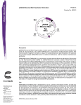 pDsRed-Monomer-Mem Hyg Vector Information