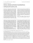 Structure, mechanism and function of prenyltransferases