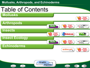 Mollusks, Arthropods, and Echinoderms