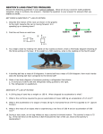 newton`s laws practice problems