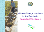 Climate Change problems in Aral Sea basin ( example of