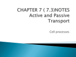 Cell Transport