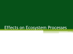 Affects on Ecosystem Processes - School