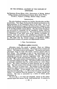 ON THE INTERNAL ANATOMY OF THE FAMILIES OF OPISTHOMI.