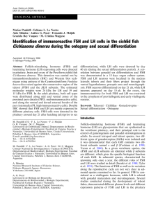 Identification of immunoreactive FSH and LH cells in the cichlid fish